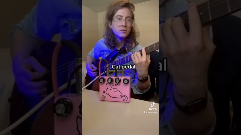Just – Guitar Effect Pedal Vids – The dumbest guitar pedals I own.