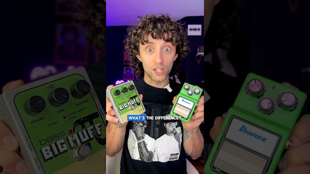 Video – OVERDRIVE vs. FUZZ vs. DISTORTION 🎸