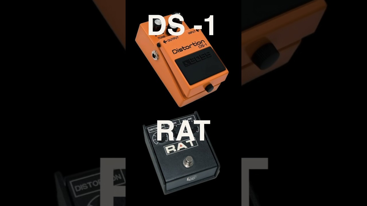 Video – The Ultimate Alt/Grunge Distortion Pedals? Proco Rat Vs Boss DS-1 #shorts