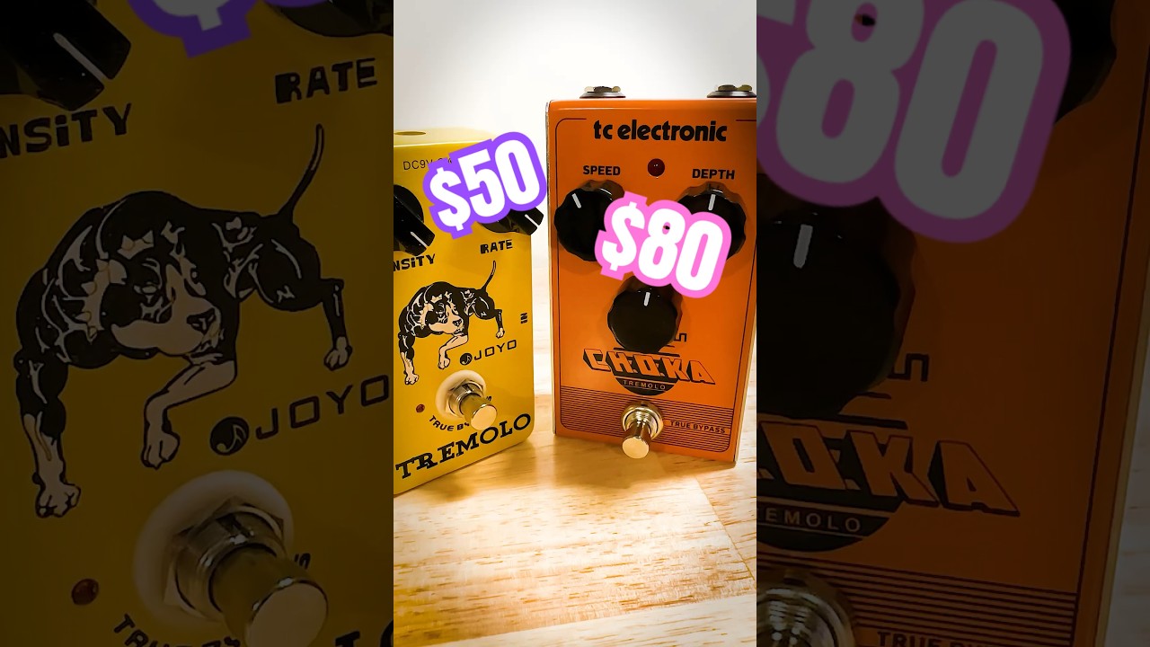 Just Tremolo – BATTLE of the BUDGET Tremolo Pedals!! #guitarpedals #tcelectronics #guitar