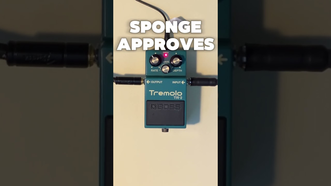 Just Tremolo – Boss TR-2 Tremolo Squared