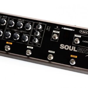 T-Rex Acoustic Soulmate Multi-Effects & Loop Pedal
