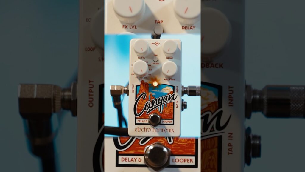 Just Video – Canyon Delay and Looper by Electro-Harmonix