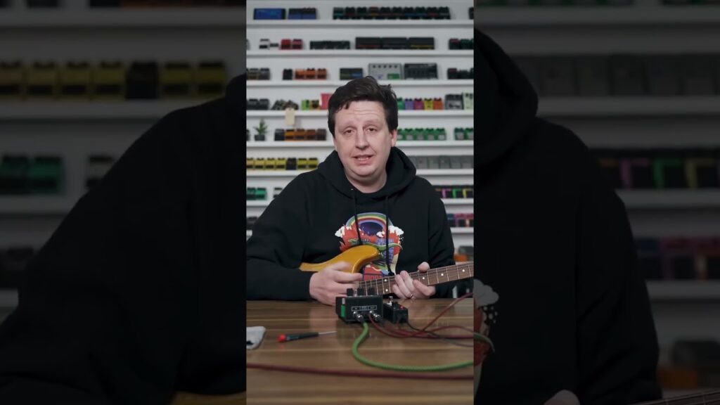 Just Video – The Volture simulates the glitchy sounds a pedal makes when powered with a dying battery. 🪶