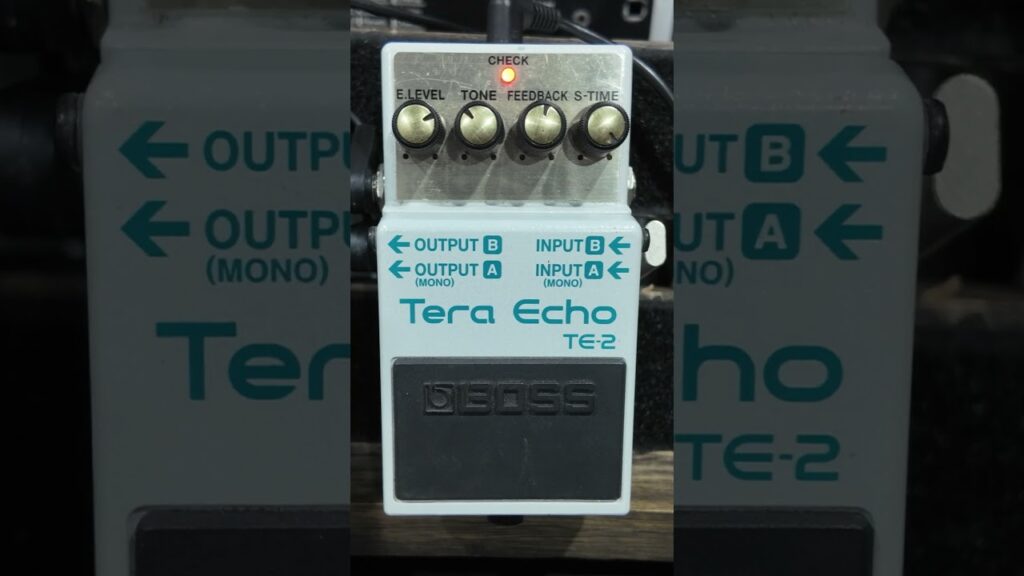 Just Video – Boss TE-2 Terra Echo Long delay (STEREO)