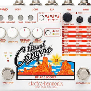 Electro Harmonix Grand Canyon multi function delay and looper pedal