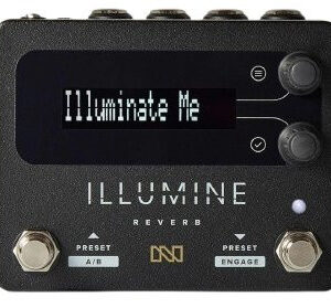 Neunaber Illumine Reverb Pedal