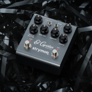 Strymon El Capistan Tape Delay Pedal V2 - Image 6