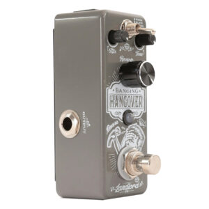 Landlord FX Banging Hangover Reverb Pedal - Image 5