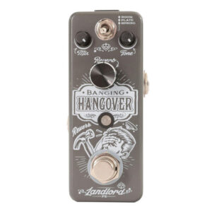 Landlord FX Banging Hangover Reverb Pedal - Image 1