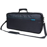 Boss CB-GT100 Carry Bag For The BOSS GT-100 and RC-300 - Image 2