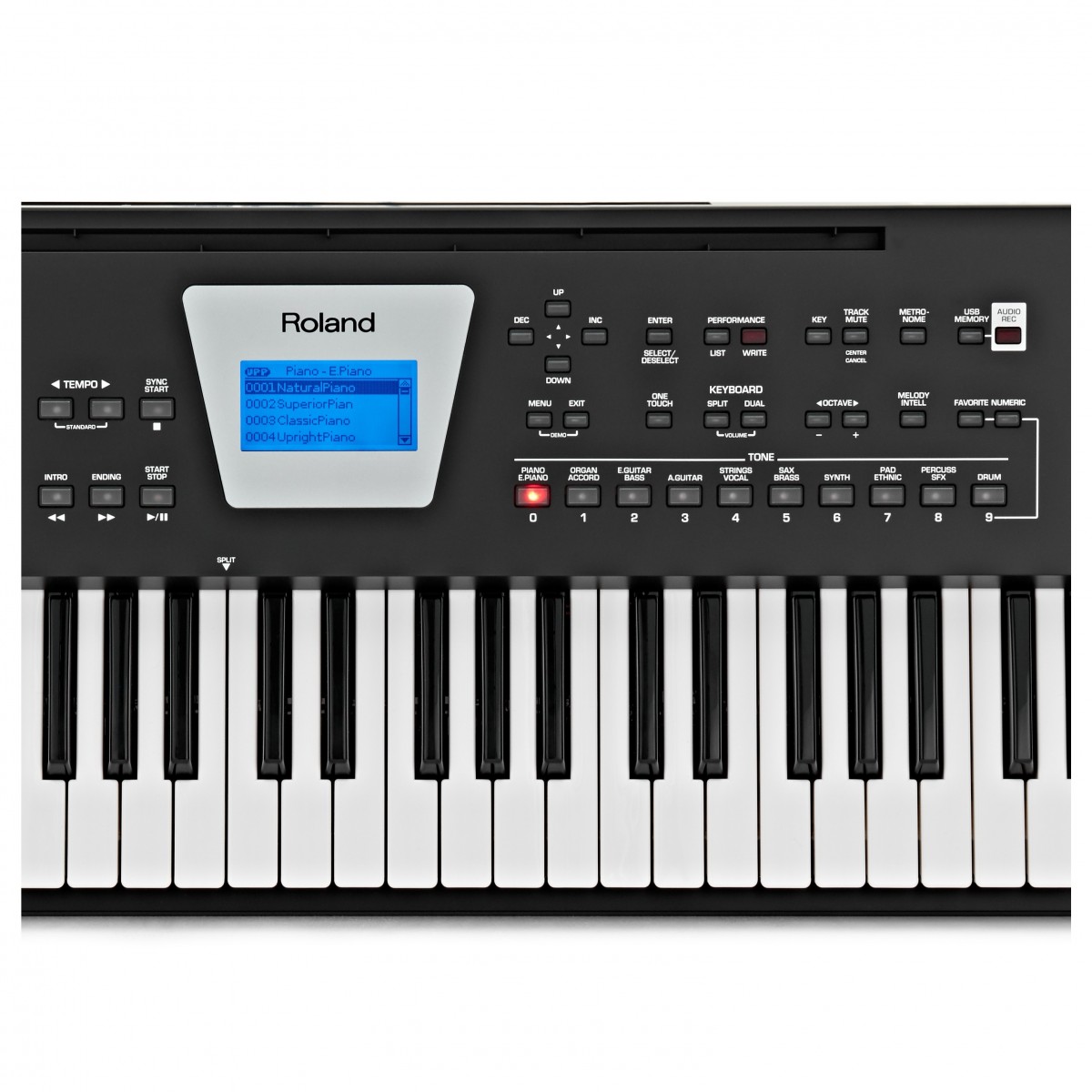 Roland BK-3 Compact Backing Keyboard Black - Image 4