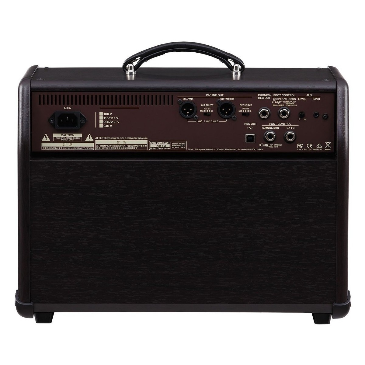 Boss Acoustic Singer Pro &lifier with Cover and Foot Controller - Image 4