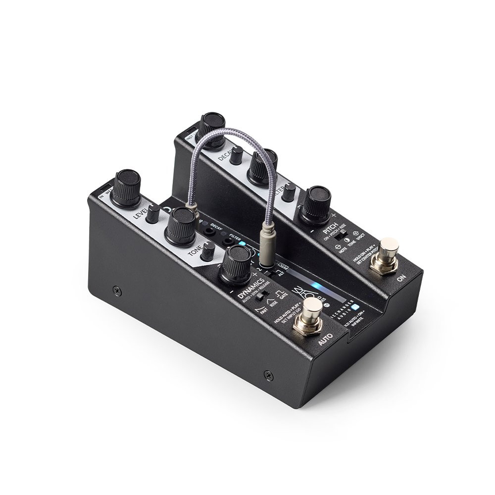 Gamechanger Audio AUTO Series Reverb Pedal