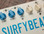 Surfy Industries SurfyBear Reverb Compact Deluxe - Image 4