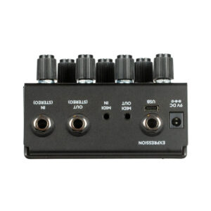 Old Blood Noise Endeavors Bathing liminal Delay Pedal in Ink - Image 5