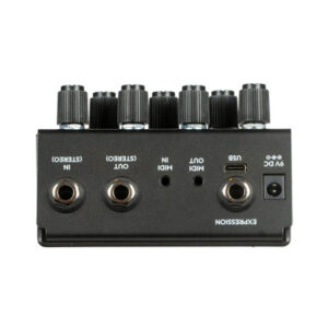 Old Blood Noise Endeavors Bathing liminal Delay Pedal in Ink - Image 2
