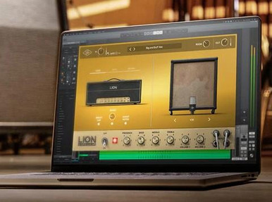 Universal Audio UAD Guitar Amp Bundle Mk2 - Image 4