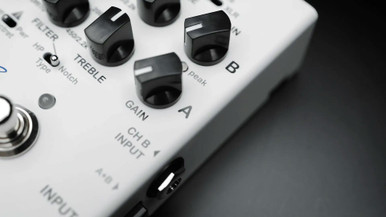 EBS Stanley Clarke Acoustic Preamp Pedal