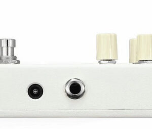 Animals Pedals Surfing Bear Overdrive - Image 2
