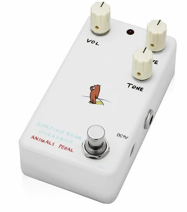 Animals Pedals Surfing Bear Overdrive