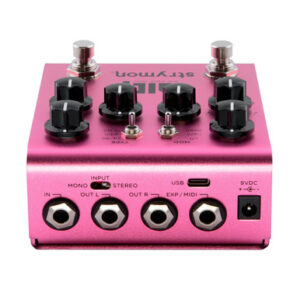 Strymon DIG Dual Digital Delay Pedal V2 - Image 2