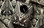 MXR Limited Edition JGD1 Jail Guitars Doors Overdrive Pedal - Image 4