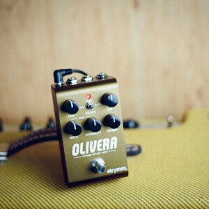 Strymon Olivera Vintage Oil Can Echo Analogue-Style Delay Pedal - Image 5
