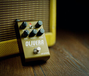 Strymon Olivera Vintage Oil Can Echo Analogue-Style Delay Pedal - Image 6
