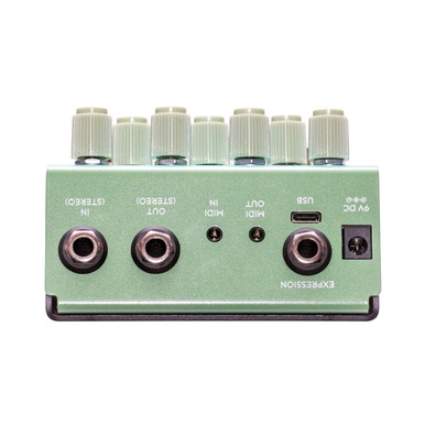Old Blood Noise Endeavors Bathing liminal Delay Pedal in Algae - Image 4