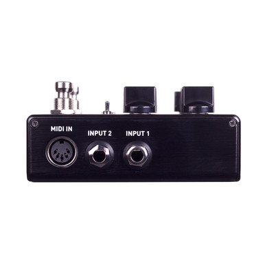 Source Audio Encounter Ambient Delay & Reverb Pedal