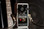 Electro Harmonix Bass Preacher - Image 4