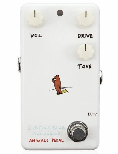 Animals Pedals Surfing Bear Overdrive