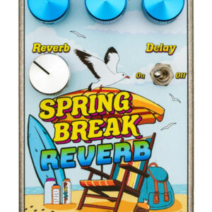 Summer School Electronics Spring Break Reverb Pedal - Image 3