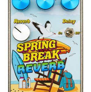 Summer School Electronics Spring Break Reverb Pedal