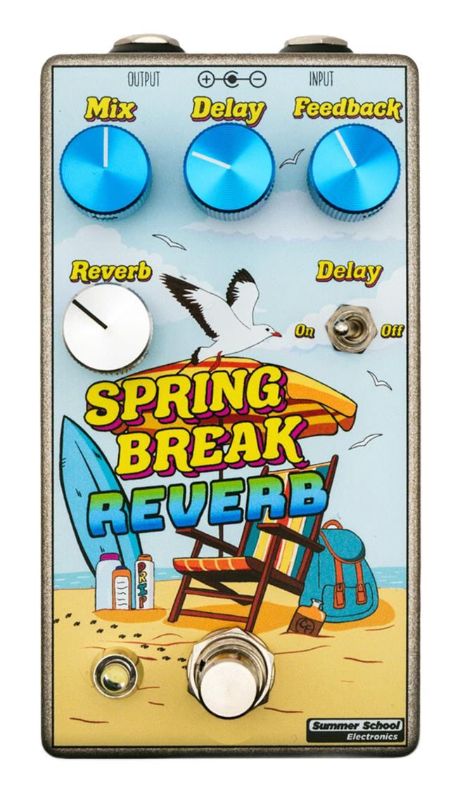 Summer School Electronics Spring Break Reverb Pedal