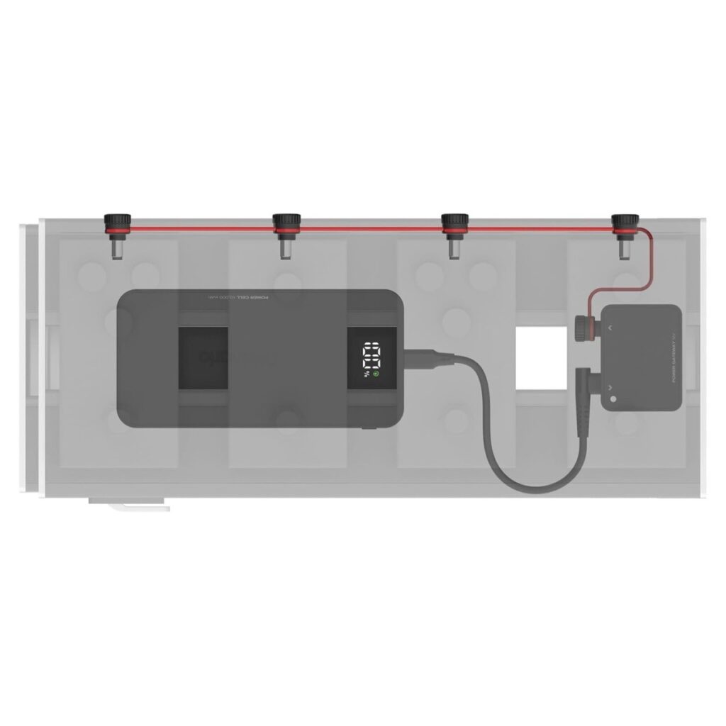 Daddario Xpnd Pedal Power Battery Kit With International Plugs