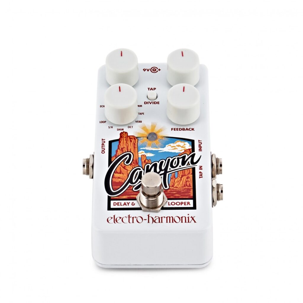 Electro Harmonix Canyon Delay & Looper