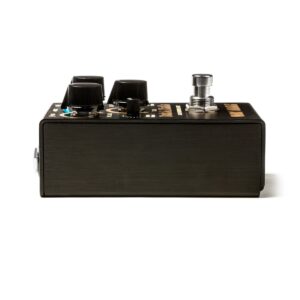 Way Huge Smalls Pork & Pickle Bass Overdrive & Fuzz
