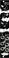 Noise Engineering Terci Ruina Triple Distortion - Eurorack Module - Image 3