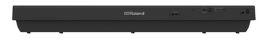 Roland FP30X Digital PORTABLE Piano in Black - Includes DP-2 Sustain Pedal