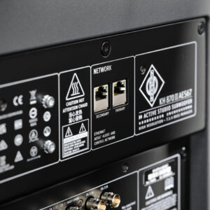 Neumann KH 870 II AES67 2x10 Active Subwoofer - Image 5