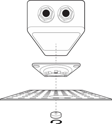 Temple Audio Medium Pedal Plate