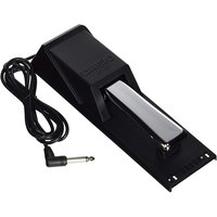 Casio SP-20 Sustain Pedal