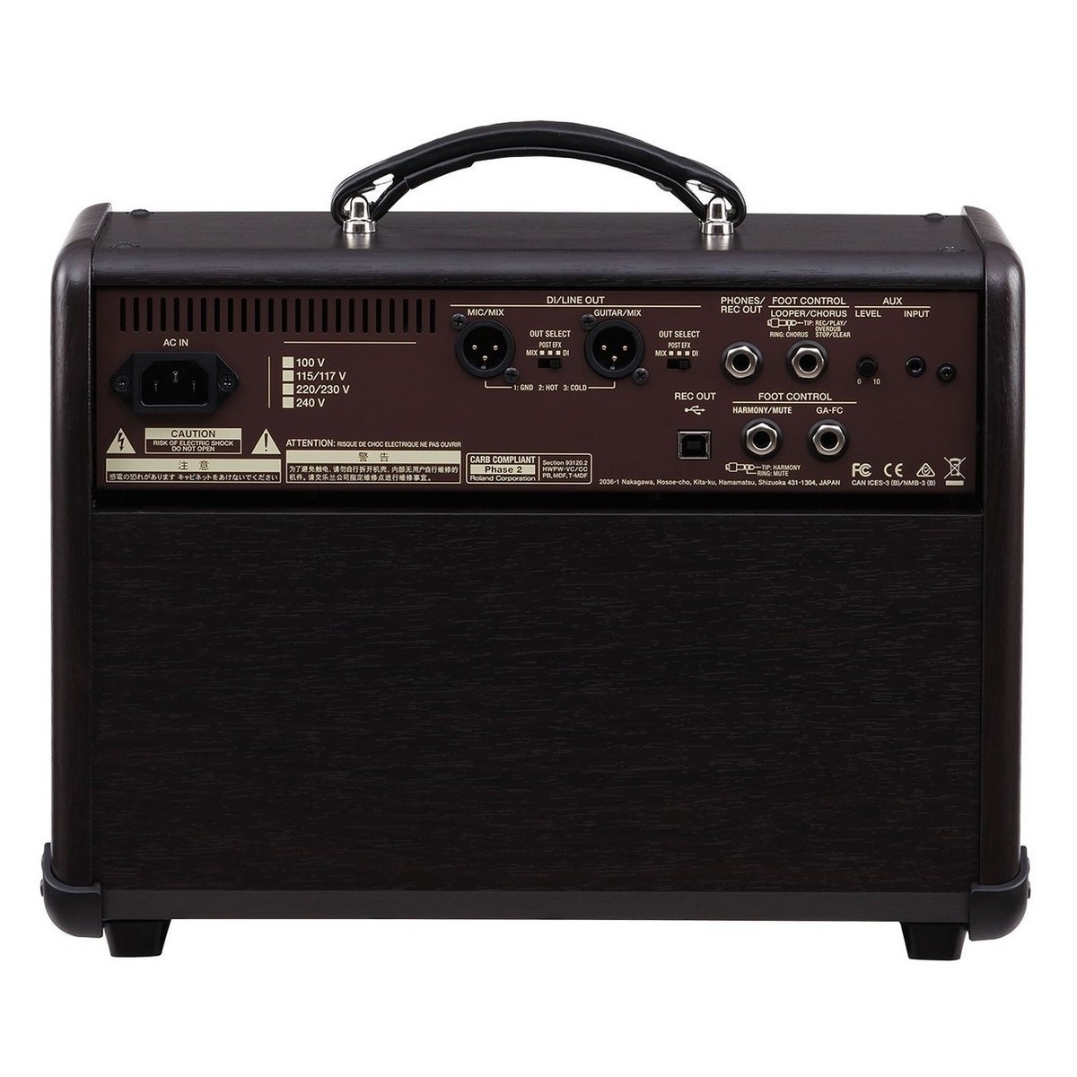 Boss Acoustic Singer Live Amplifier with Cover and Foot Controller - Image 3
